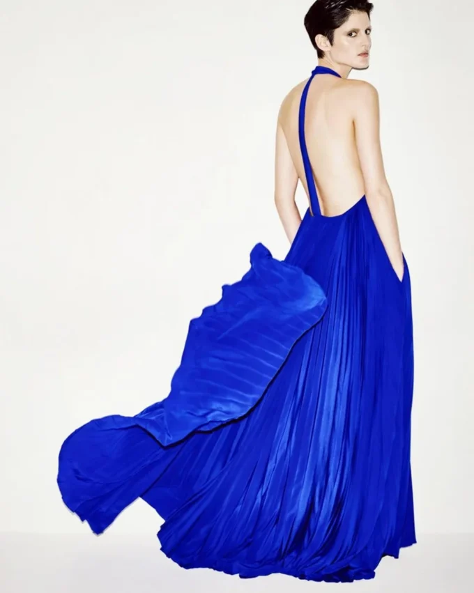 Vestido de noche de seda con cuello halter y plisado en forma de rayos de sol Vestido de noche de seda con cuello halter y plisado en forma de rayos de sol